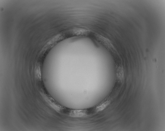 X0000082680622200702091634