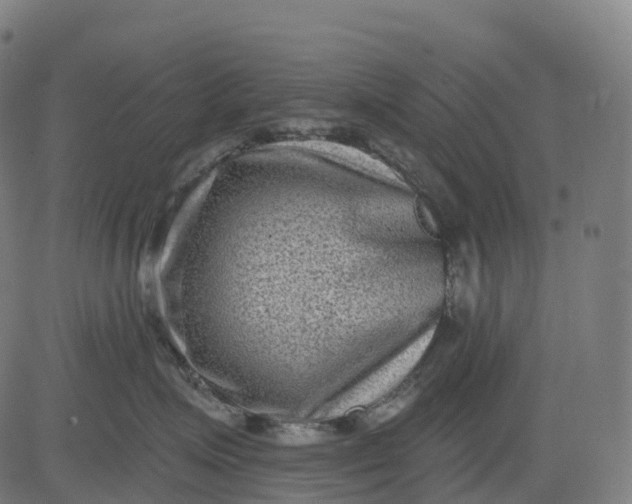 X0000082680623200702091634