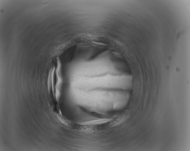 X0000082680624200702091634