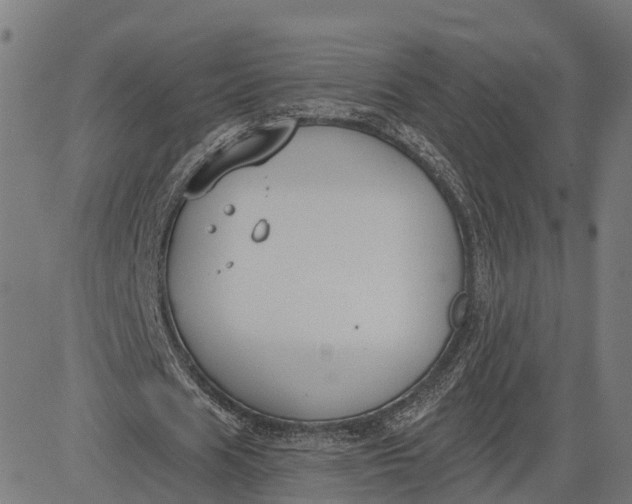 X0000082680625200702091633