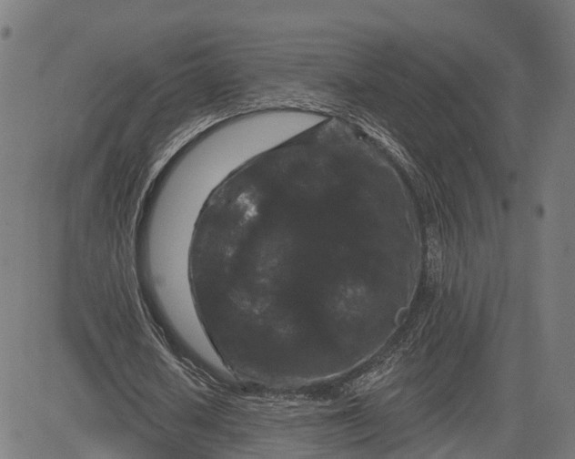 X0000082680626200702091633