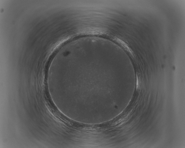 X0000082680627200702091633