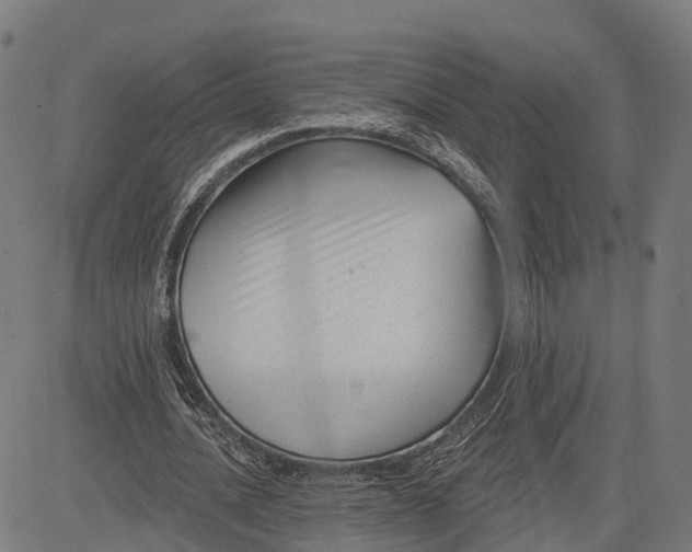 X0000082680628200702091633