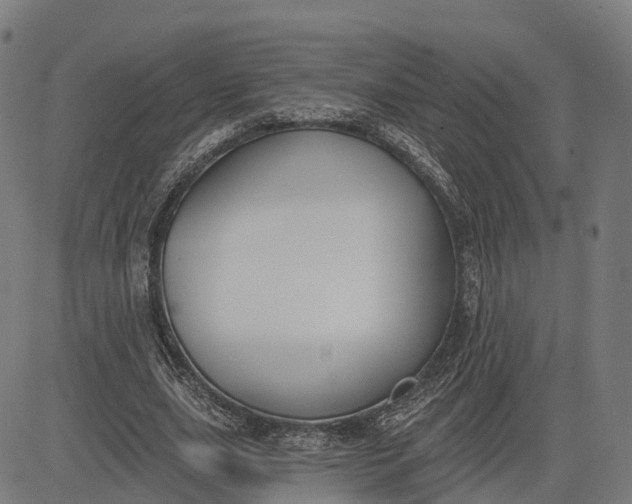 X0000082680631200702091633