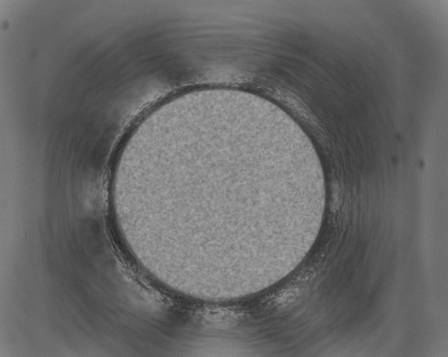 X0000082680632200702091633