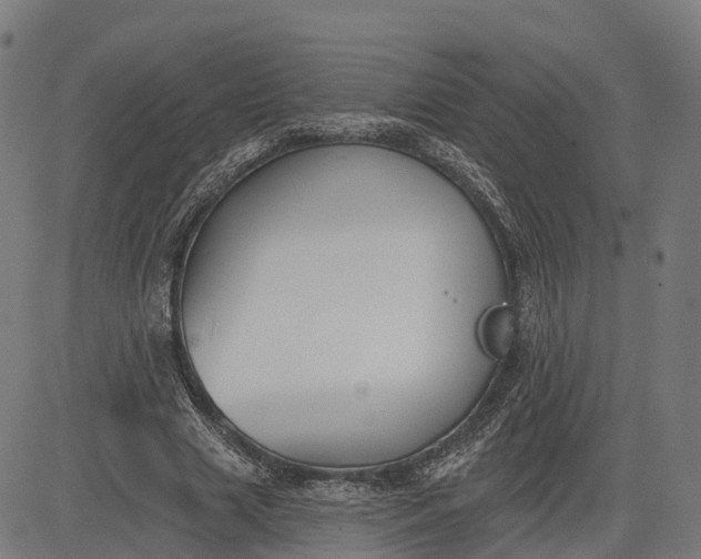 X0000082680633200702091633