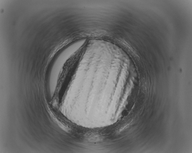 X0000082680634200702091633