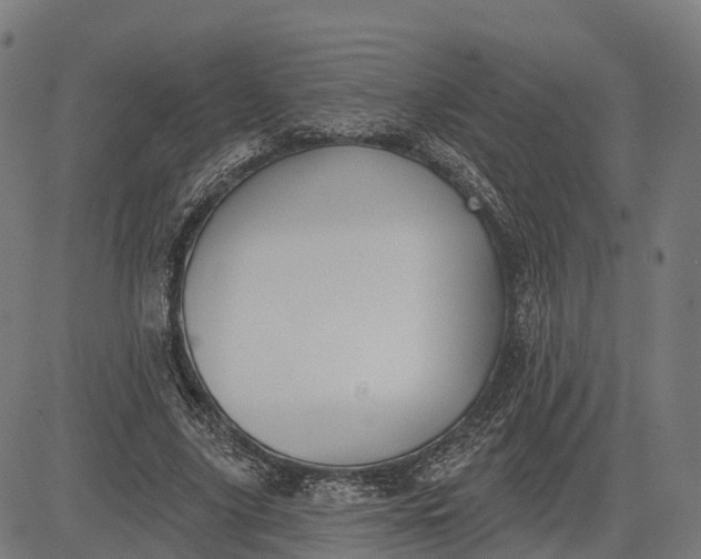 X0000082680635200702091633