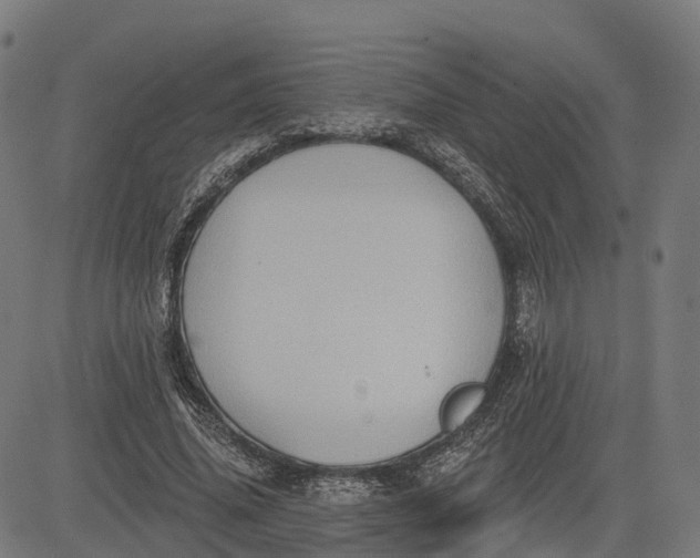 X0000082680636200702091633