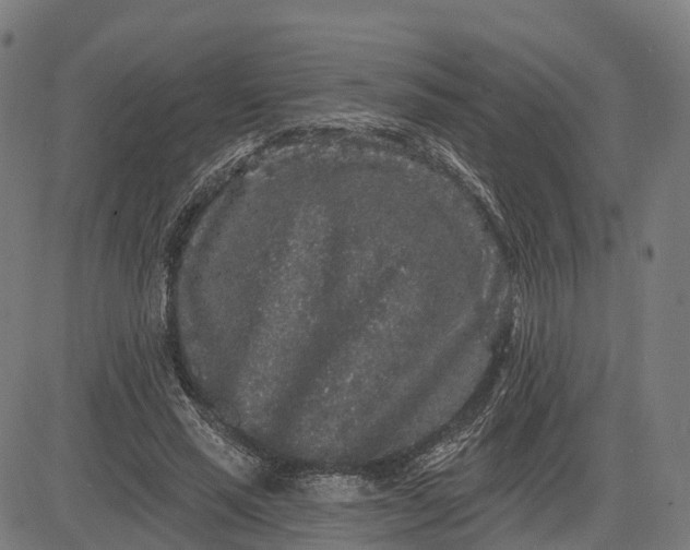 X0000082680637200702091633