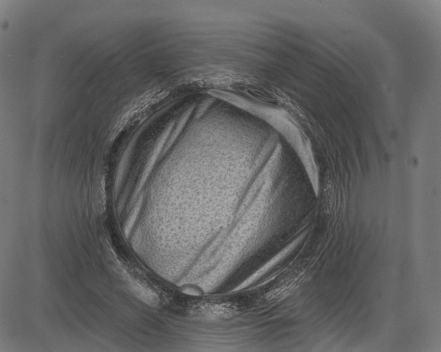 X0000082680638200702091633