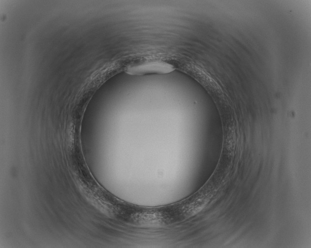 X0000082680639200702091633