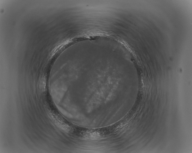 X0000082680640200702091633