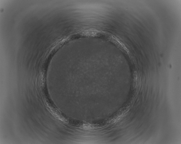 X0000082680641200702091633