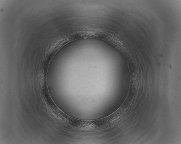 X0000082680642200702091633