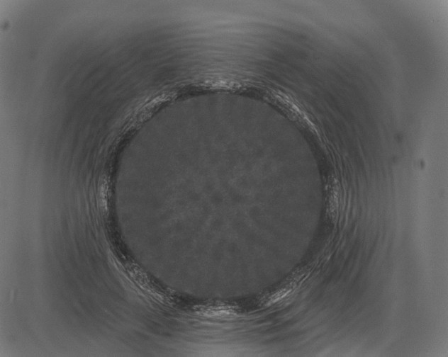 X0000082680643200702091633