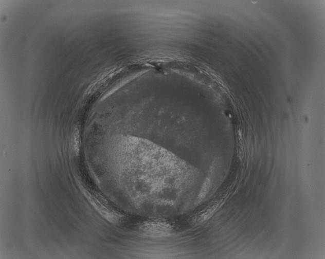 X0000082680644200702091633