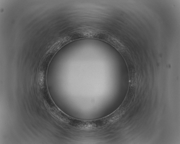 X0000082680646200702091633