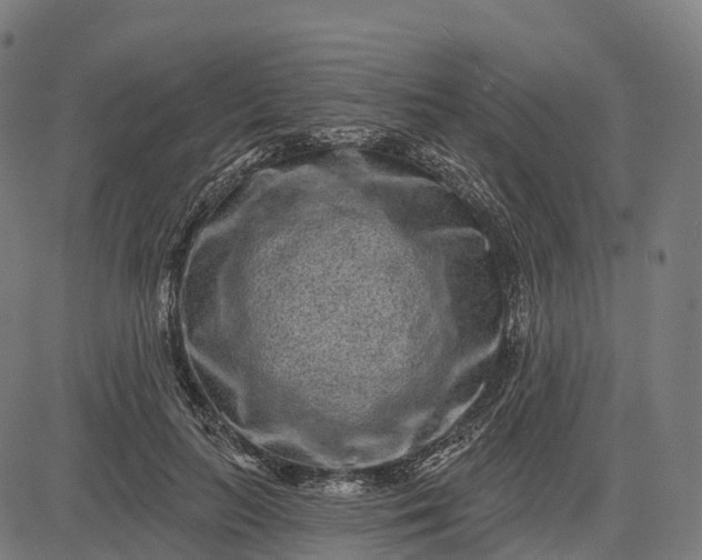 X0000082680647200702091633