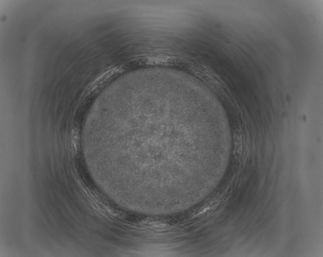 X0000082680648200702091633