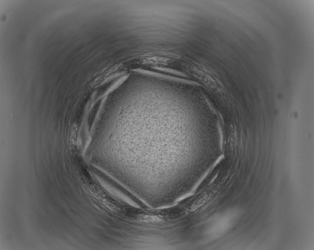 X0000082680649200702091633