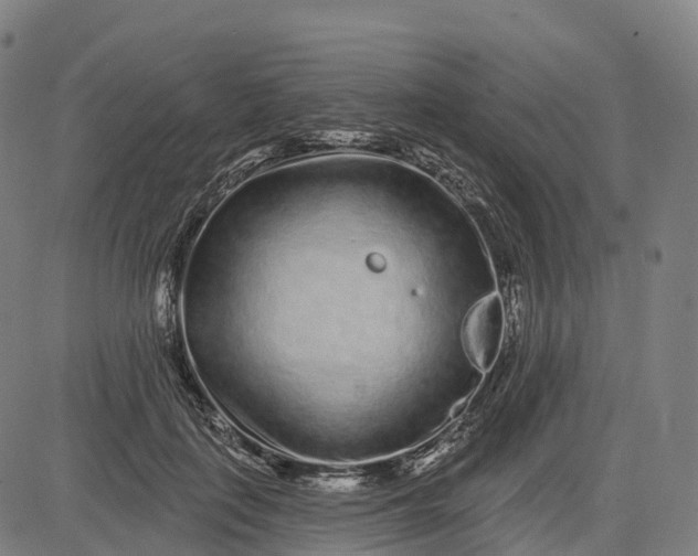 X0000082680651200702091633