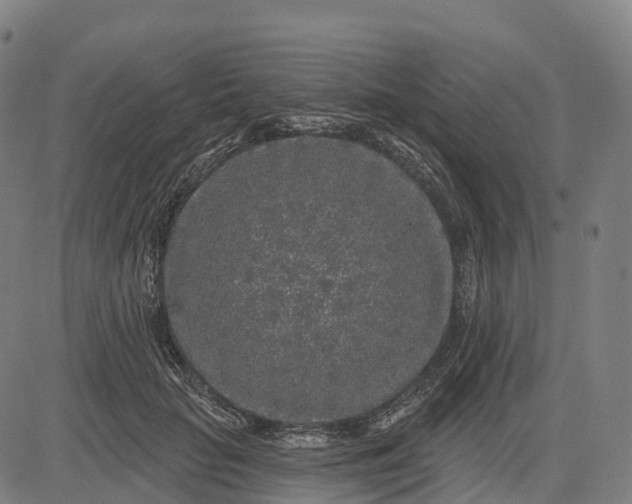 X0000082680653200702091633