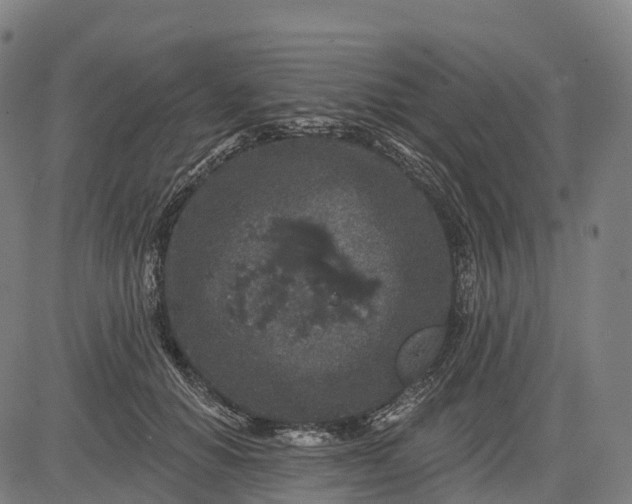 X0000082680654200702091633