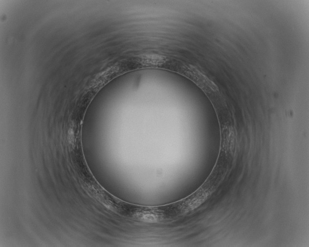 X0000082680655200702091633