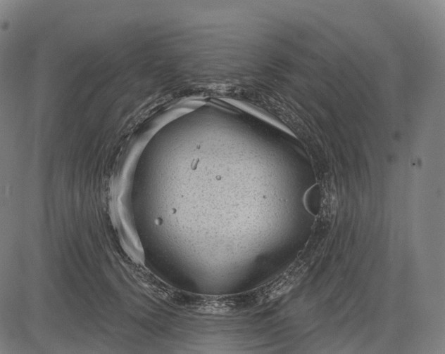 X0000082680656200702091633