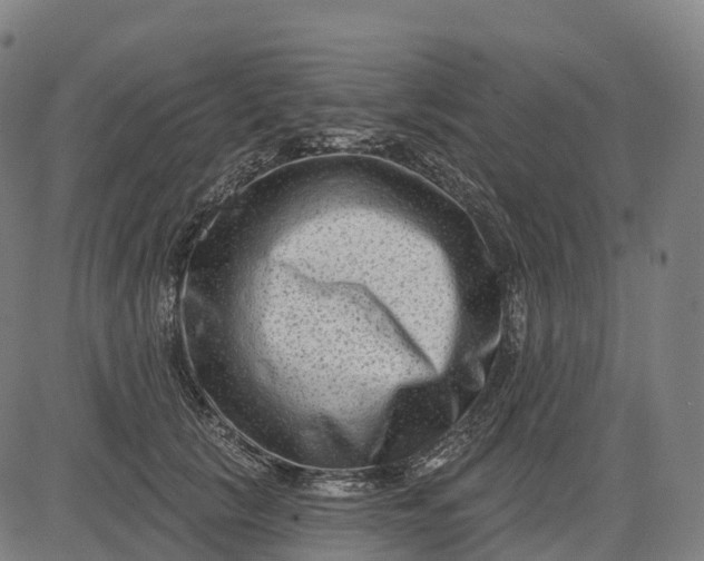 X0000082680657200702091633