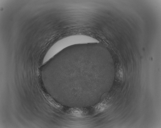 X0000082680658200702091633