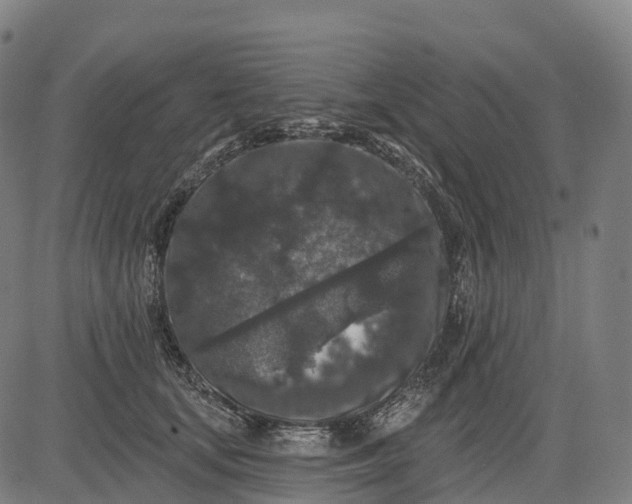 X0000082680659200702091633