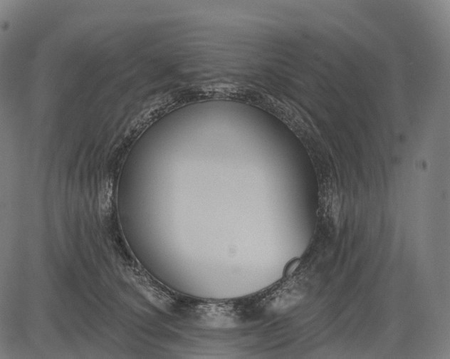 X0000082680660200702091633