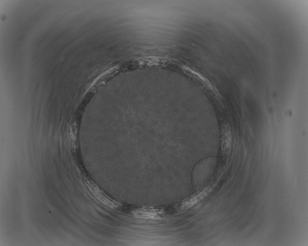 X0000082680661200702091633