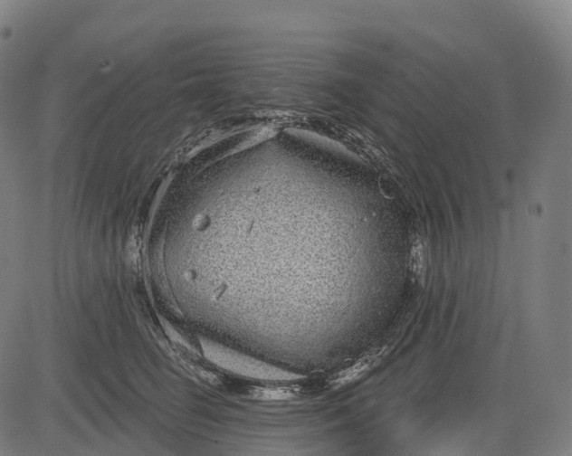 X0000082680662200702091633