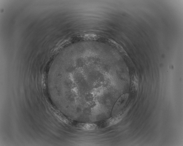 X0000082680663200702091633