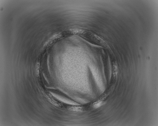 X0000082680664200702091633