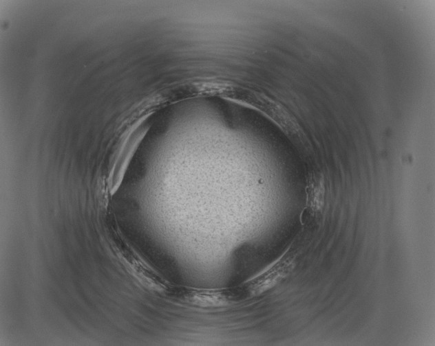 X0000082680666200702091634