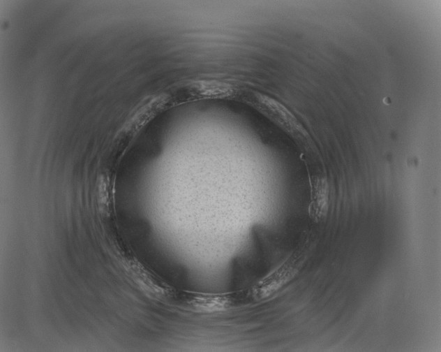 X0000082680667200702091634