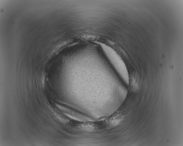 X0000082680668200702091634