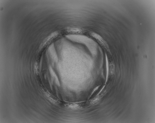 X0000082680669200702091634