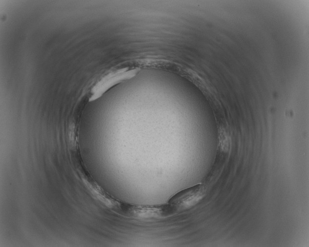 X0000082680670200702091634