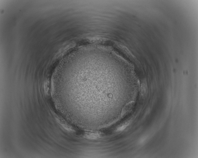 X0000082680671200702091634