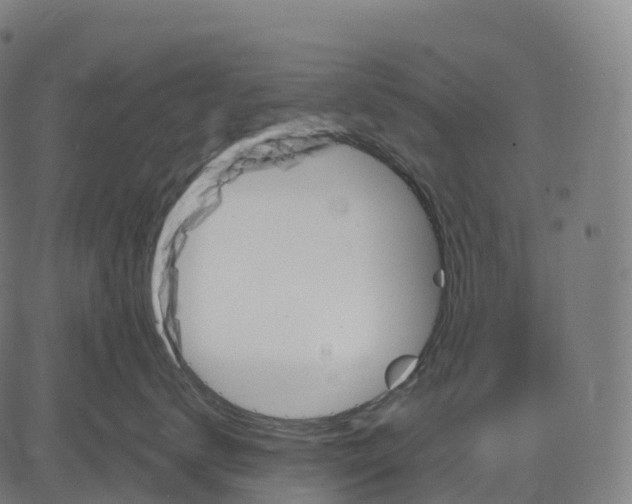 X0000082680672200702091634