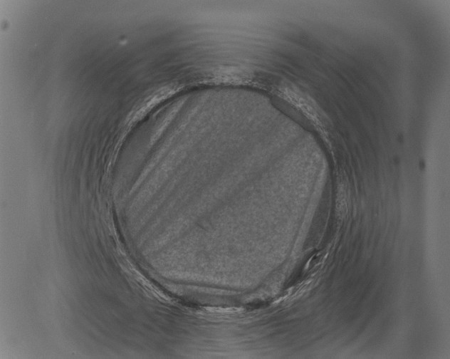 X0000082680673200702091633