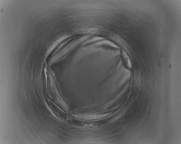 X0000082680674200702091633