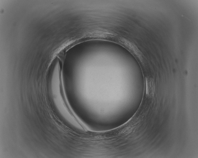 X0000082680675200702091633