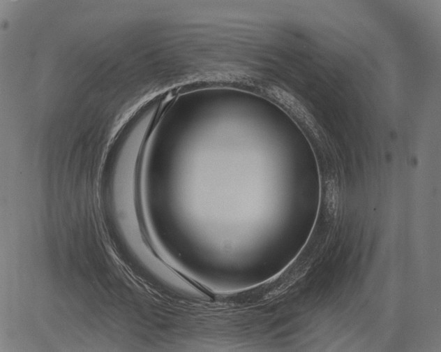 X0000082680676200702091633