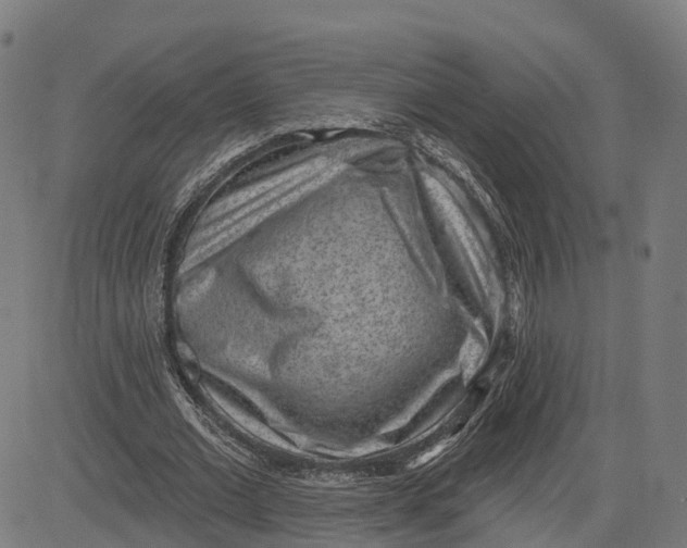 X0000082680677200702091633